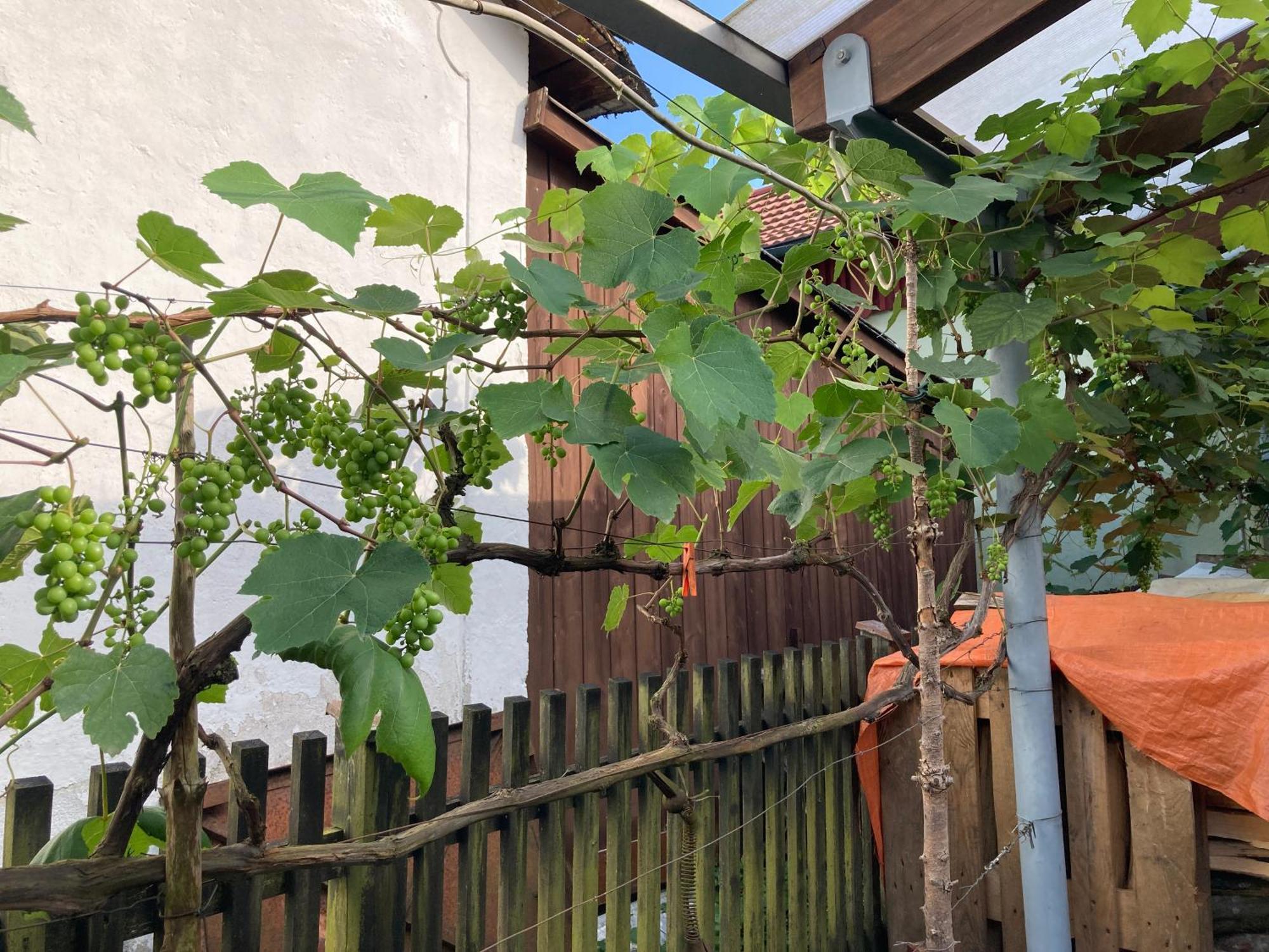 Appartement Schreiner *